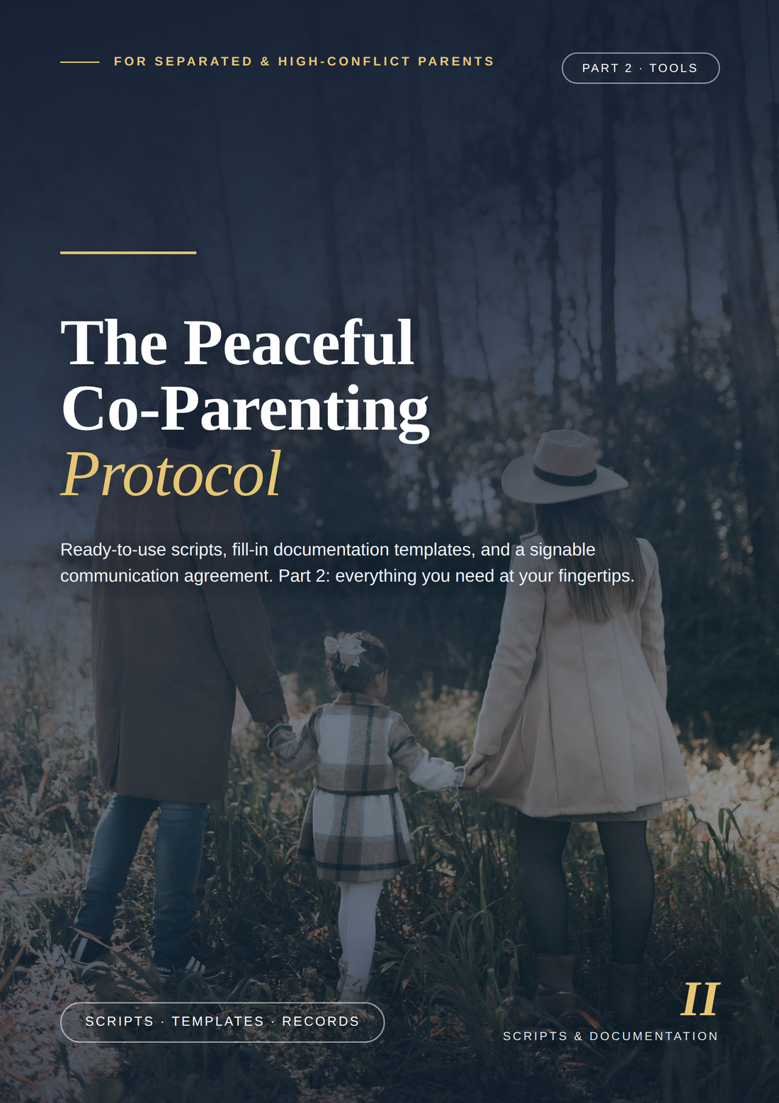 Peaceful Co Parenting Part 2