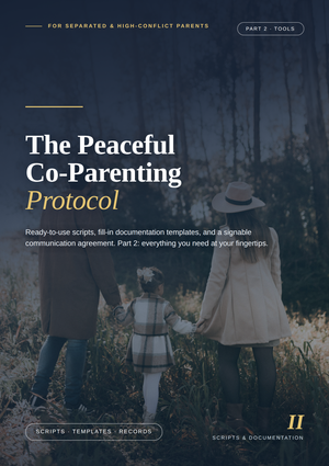 Peaceful Co Parenting Part 2